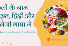 рд╕рдВрд╕реНрдХреГрдд,рд╣рд┐рдВрджреА рдФрд░ рдЕрдВрдЧреНрд░реЗрдЬреА рдореЗрдВ рдлрд▓реЛрдВ рдХреЗ рдирд╛рдо |Fruits Name in Sanskrit, Hindi and English. Fruits Name in Sanskrit, hindi and English.