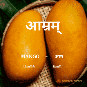 Mango Name in Sanskrit, hindi and English.