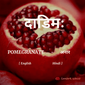Pomegranate Name in Sanskrit, hindi and English.