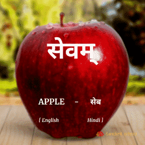 Apple Name in Sanskrit, hindi and English.
