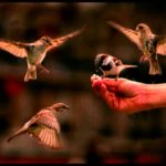 рдЪрдЯрдХрд╛, рдЪрдЯрдХрд╛ |Chataka Chataka| рд╕рдВрд╕реНрдХреГрдд рдЧреАрдд