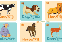 Animals name in sanskrit | जानवरों के नाम संस्कृत में Animals name in sanskrit, जानवरों के नाम संस्कृत में
