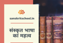 संस्कृत भाषा का महत्व | Importance of Sanskrit language संस्कृत भाषा का महत्व