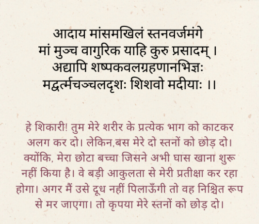Sanskrit Shlok On Mother | माता पर संस्कृत श्लोक sanskrit shlok on mother