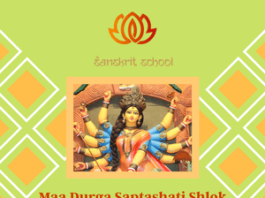 Maa Durga Saptashati Shlok