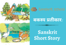 Sanskrit Short Story | संस्कृत लघुकथा बकस्य प्रतीकार: Sanskrit Short Story