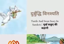 Turtle And Swan Story In Sanskrit | मूर्ख कछुए की कहानी Turtle And Swan Story In Sanskrit