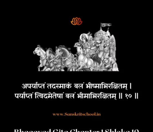 Bhagavad Gita Chapter 1 Shloka 10 | рд╢реНрд░реАрдорджреНрднрдЧрд╡рджреНрдЧреАрддрд╛ Bhagavad Gita Chapter 1 Shloka image