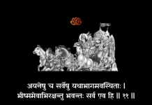 Bhagavad Gita Chapter 1 Shloka 11 | श्रीमद्भगवद्गीता Bhagavad Gita Shloka image