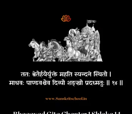 Bhagavad Gita Chapter 1 Shloka 14 | श्रीमद्भगवद्गीता Bhagavad Gita Chapter 1 Shloka image