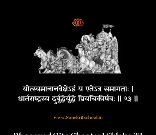 Bhagavad Gita Chapter 1 Shloka 23 | श्रीमद्भगवद्गीता Bhagavad Gita Shloka image