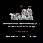 Bhagavad Gita Chapter 1 Shloka 27 | श्रीमद्भगवद्गीता Bhagavad Gita Chapter 1 Shloka image