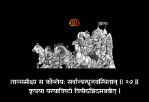 Bhagavad Gita Chapter 1 Shloka 27 | श्रीमद्भगवद्गीता Bhagavad Gita Chapter 1 Shloka image