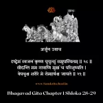 Bhagavad Gita Chapter 1 Shloka 28-29 | श्रीमद्भगवद्गीता Bhagavad Gita Shloka image