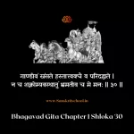 Bhagavad Gita Chapter 1 Shloka 30 | श्रीमद्भगवद्गीता Bhagavad Gita Chapter 1 Shloka image