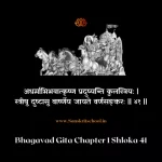 Bhagavad Gita Chapter 1 Shloka 41 | рд╢реНрд░реАрдорджреНрднрдЧрд╡рджреНрдЧреАрддрд╛ Bhagavad Gita Chapter 1 Shloka image