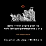 Bhagavad Gita Chapter 1 Shloka 42 | рд╢реНрд░реАрдорджреНрднрдЧрд╡рджреНрдЧреАрддрд╛ Bhagavad Gita Shloka image
