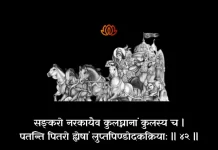 Bhagavad Gita Chapter 1 Shloka 42 | श्रीमद्भगवद्गीता Bhagavad Gita Shloka image