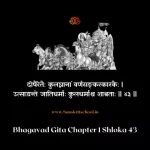 Bhagavad Gita Chapter 1 Shloka 43 | рд╢реНрд░реАрдорджреНрднрдЧрд╡рджреНрдЧреАрддрд╛ Bhagavad Gita Chapter 1 Shloka image