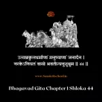 Bhagavad Gita Chapter 1 Shloka 44 | рд╢реНрд░реАрдорджреНрднрдЧрд╡рджреНрдЧреАрддрд╛ Bhagavad Gita Shloka image