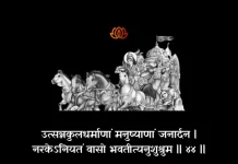 Bhagavad Gita Chapter 1 Shloka 44 | श्रीमद्भगवद्गीता Bhagavad Gita Shloka image