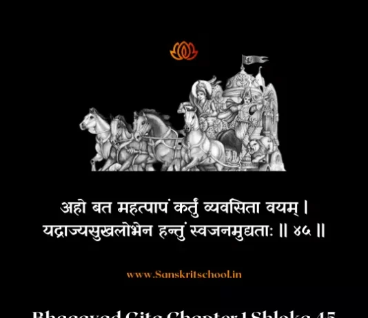 Bhagavad Gita Chapter 1 Shloka 45 | श्रीमद्भगवद्गीता Bhagavad Gita Chapter 1 Shloka image