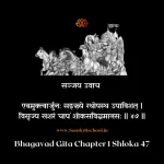 Bhagavad Gita Chapter 1 Shloka 47 | рд╢реНрд░реАрдорджреНрднрдЧрд╡рджреНрдЧреАрддрд╛ Bhagavad Gita Chapter 1 Shloka image