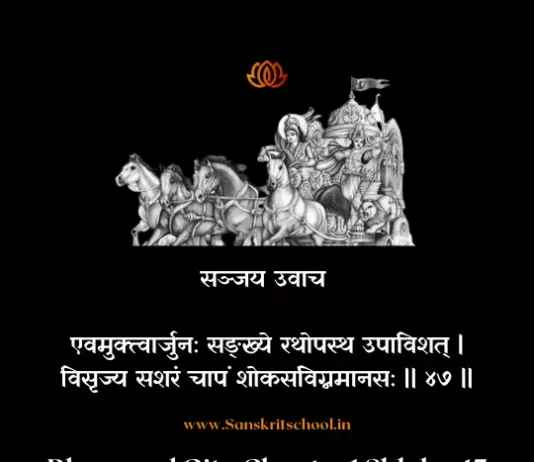Bhagavad Gita Chapter 1 Shloka 47 | श्रीमद्भगवद्गीता Bhagavad Gita Chapter 1 Shloka image