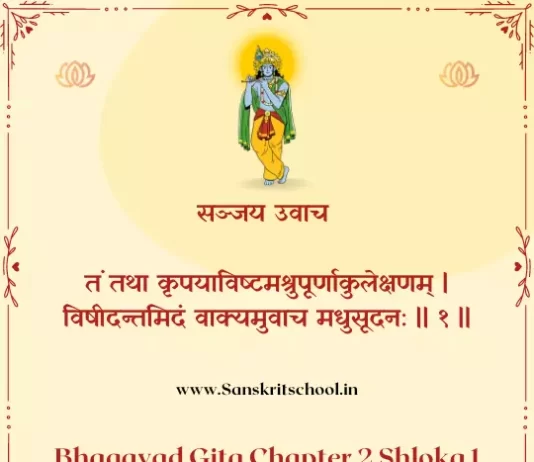 Bhagavad Gita Chapter 2 Shloka 1 | श्रीमद्भगवद्गीता Bhagavad Gita Chapter 2 Shloka image