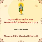 Bhagavad Gita Chapter 2 Shloka 10 | श्रीमद्भगवद्गीता Bhagavad Gita Chapter 2 image