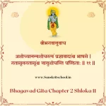 Bhagavad Gita Chapter 2 Shloka 11 | श्रीमद्भगवद्गीता Bhagavad Gita Chapter 2 Shloka image
