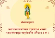 Bhagavad Gita Chapter 2 Shloka 11 | श्रीमद्भगवद्गीता Bhagavad Gita Chapter 2 Shloka image