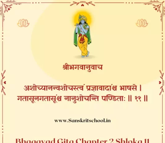 Bhagavad Gita Chapter 2 Shloka 11 | श्रीमद्भगवद्गीता Bhagavad Gita Chapter 2 Shloka image