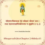 Bhagavad Gita Chapter 2 Shloka 13 | श्रीमद्भगवद्गीता Bhagavad Gita Chapter 2 Shloka image