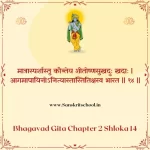 Bhagavad Gita Chapter 2 Shloka 14 | श्रीमद्भगवद्गीता Bhagavad Gita Chapter 2 Shloka image