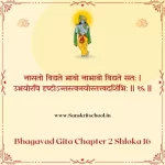 Bhagavad Gita Chapter 2 Shloka 16 | श्रीमद्भगवद्गीता Bhagavad Gita Chapter 2 Shloka image