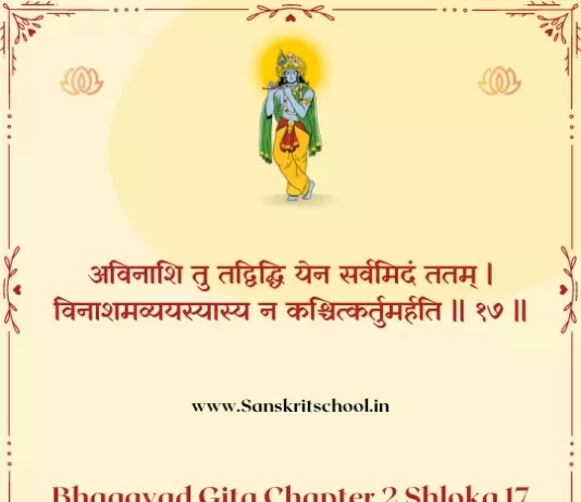 Bhagavad Gita Chapter 2 Shloka 17 | рд╢реНрд░реАрдорджреНрднрдЧрд╡рджреНрдЧреАрддрд╛ Bhagavad Gita Chapter 2 image