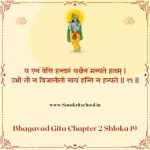 Bhagavad Gita Chapter 2 Shloka 19 | श्रीमद्भगवद्गीता Bhagavad Gita Chapter 2 image