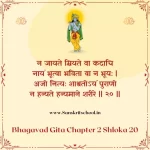 Bhagavad Gita Chapter 2 Shloka 20 | श्रीमद्भगवद्गीता Bhagavad Gita Chapter 2 Shloka image