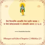 Bhagavad Gita Chapter 2 Shloka 23 | श्रीमद्भगवद्गीता Bhagavad Gita Chapter 2 image