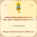 Bhagavad Gita Chapter 2 Shloka 24 | श्रीमद्भगवद्गीता Bhagavad Gita Chapter 2 Shloka image