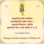 Bhagavad Gita Chapter 2 Shloka 29 | рд╢реНрд░реАрдорджреНрднрдЧрд╡рджреНрдЧреАрддрд╛ Bhagavad Gita Chapter 2 image