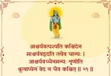 Bhagavad Gita Chapter 2 Shloka 29 | श्रीमद्भगवद्गीता Bhagavad Gita Chapter 2 image