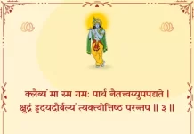 Bhagavad Gita Chapter 2 Shloka 3 | श्रीमद्भगवद्गीता Bhagavad Gita Chapter 2 Shloka image