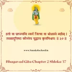 Bhagavad Gita Chapter 2 Shloka 37 | श्रीमद्भगवद्गीता Bhagavad Gita Chapter 2 image
