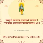 Bhagavad Gita Chapter 2 Shloka 38 | श्रीमद्भगवद्गीता Bhagavad Gita Chapter 2 Shloka image