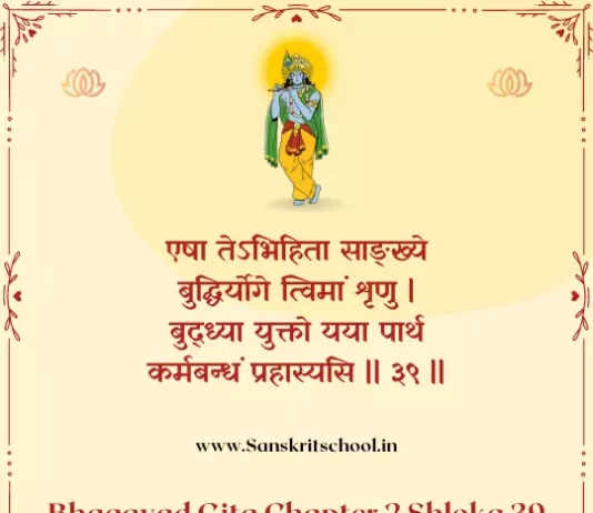 Bhagavad Gita Chapter 2 Shloka 39 | श्रीमद्भगवद्गीता Bhagavad Gita Chapter 2 image