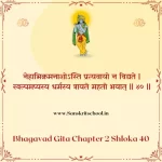 Bhagavad Gita Chapter 2 Shloka 40 | श्रीमद्भगवद्गीता Bhagavad Gita Chapter 2 Shloka image