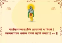 Bhagavad Gita Chapter 2 Shloka 40 | श्रीमद्भगवद्गीता Bhagavad Gita Chapter 2 Shloka image