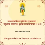 Bhagavad Gita Chapter 2 Shloka 41 | рд╢реНрд░реАрдорджреНрднрдЧрд╡рджреНрдЧреАрддрд╛ Bhagavad Gita Chapter 2 image